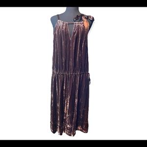 NWT BCBGmaxazria | silk velvet dress | Mahogany drop waist
